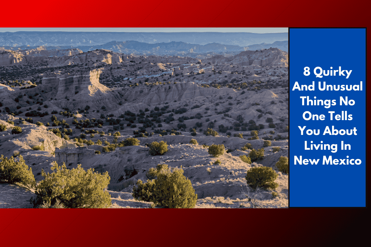 8 Quirky And Unusual Things No One Tells You About Living In New Mexico