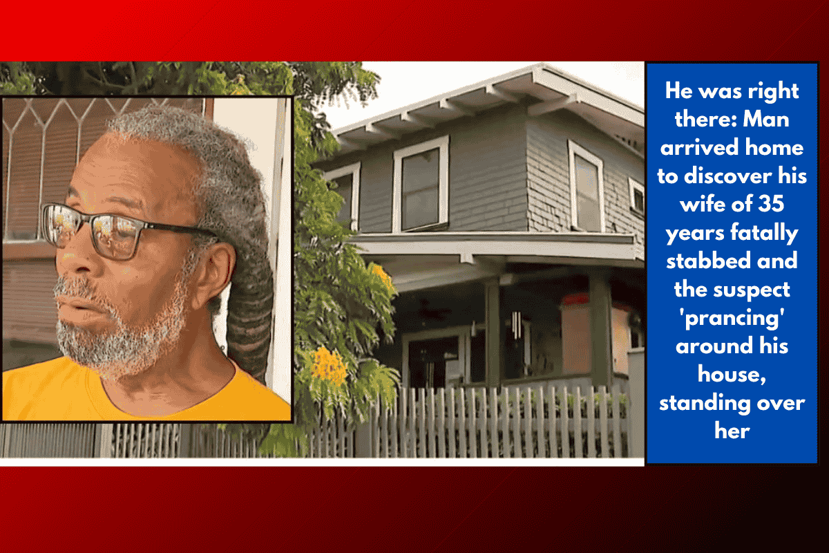 He was right there: Man arrived home to discover his wife of 35 years fatally stabbed and the suspect 'prancing' around his house, standing over her