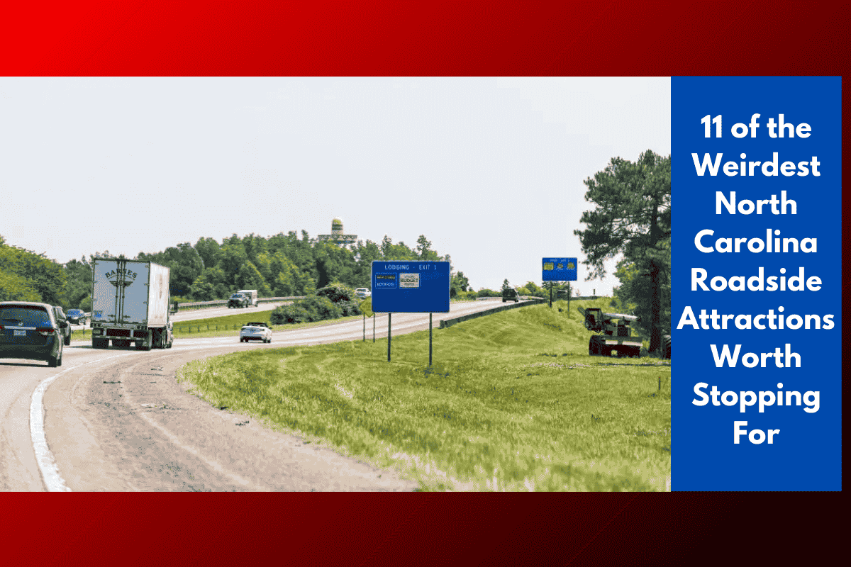 11 of the Weirdest North Carolina Roadside Attractions Worth Stopping For