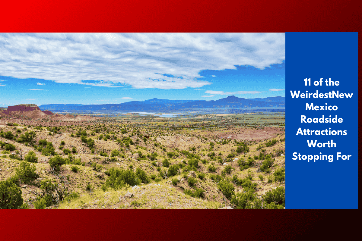 11 of the Weirdest New Mexico Roadside Attractions Worth Stopping For