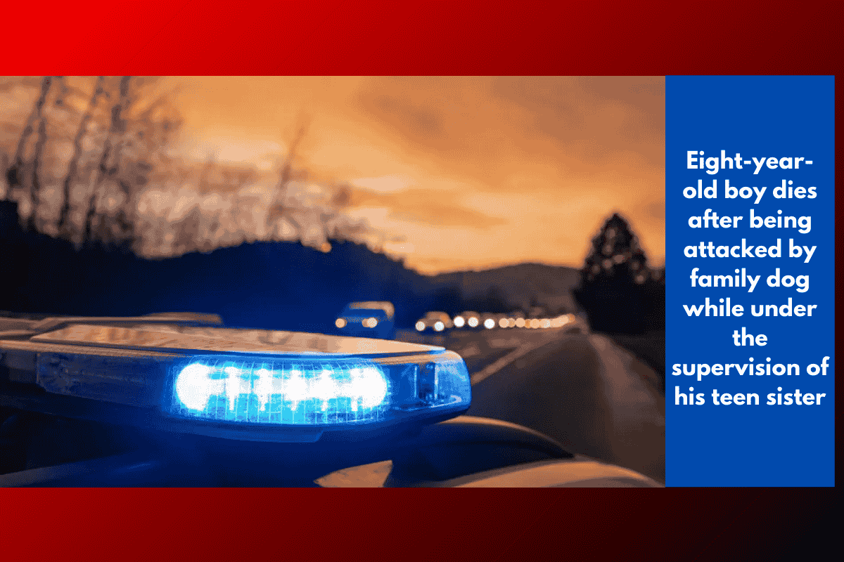 Eight-year-old boy dies after being attacked by family dog while under the supervision of his teen sister