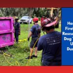 Hanahan Firefighters Rescue Injured Dog Trapped Under Dumpster