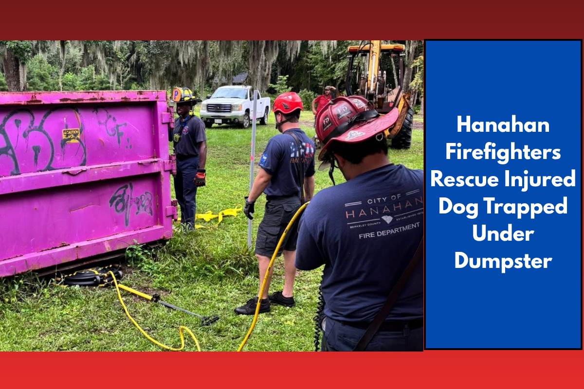Hanahan Firefighters Rescue Injured Dog Trapped Under Dumpster