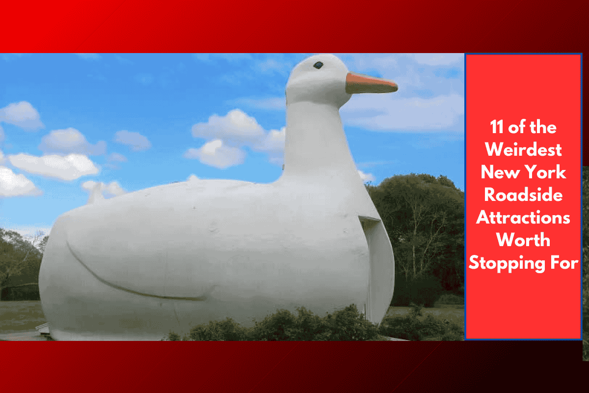 11 of the Weirdest New York Roadside Attractions Worth Stopping For