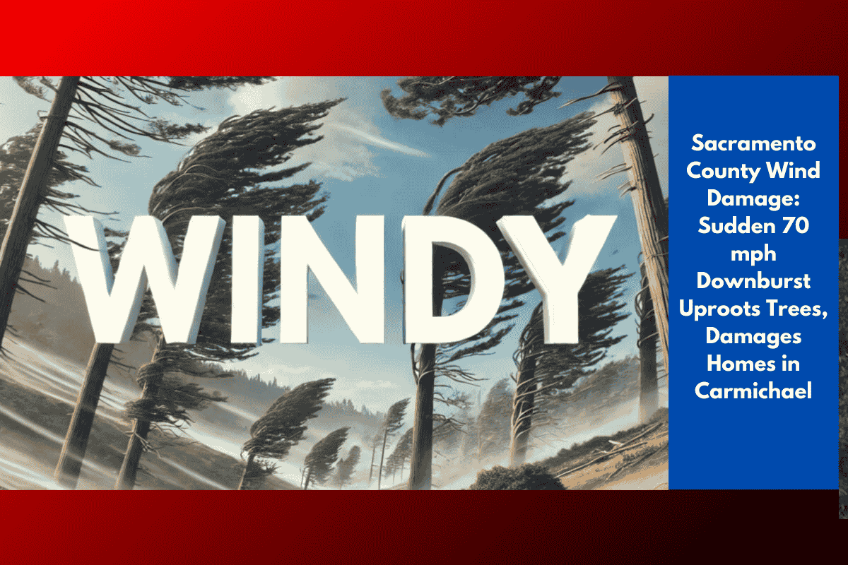 Sacramento County Wind Damage: Sudden 70 mph Downburst Uproots Trees, Damages Homes in Carmichael