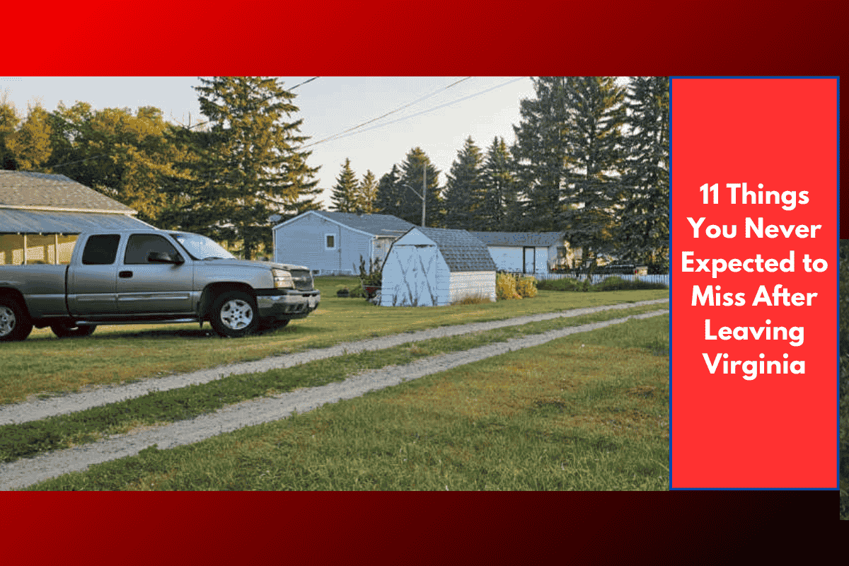 11 Things You Never Expected to Miss After Leaving Virginia