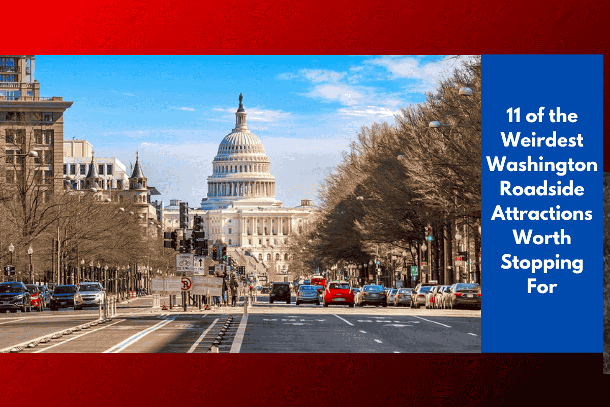 11 of the Weirdest Washington Roadside Attractions Worth Stopping For