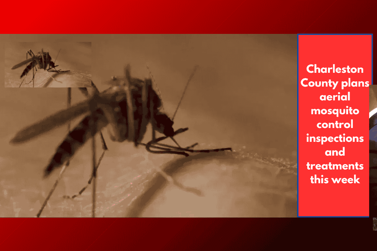 Charleston County plans aerial mosquito control inspections and treatments this week