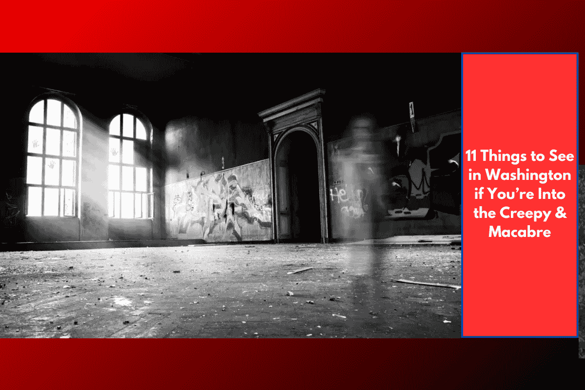 11 Things to See in Washington if You’re Into the Creepy & Macabre