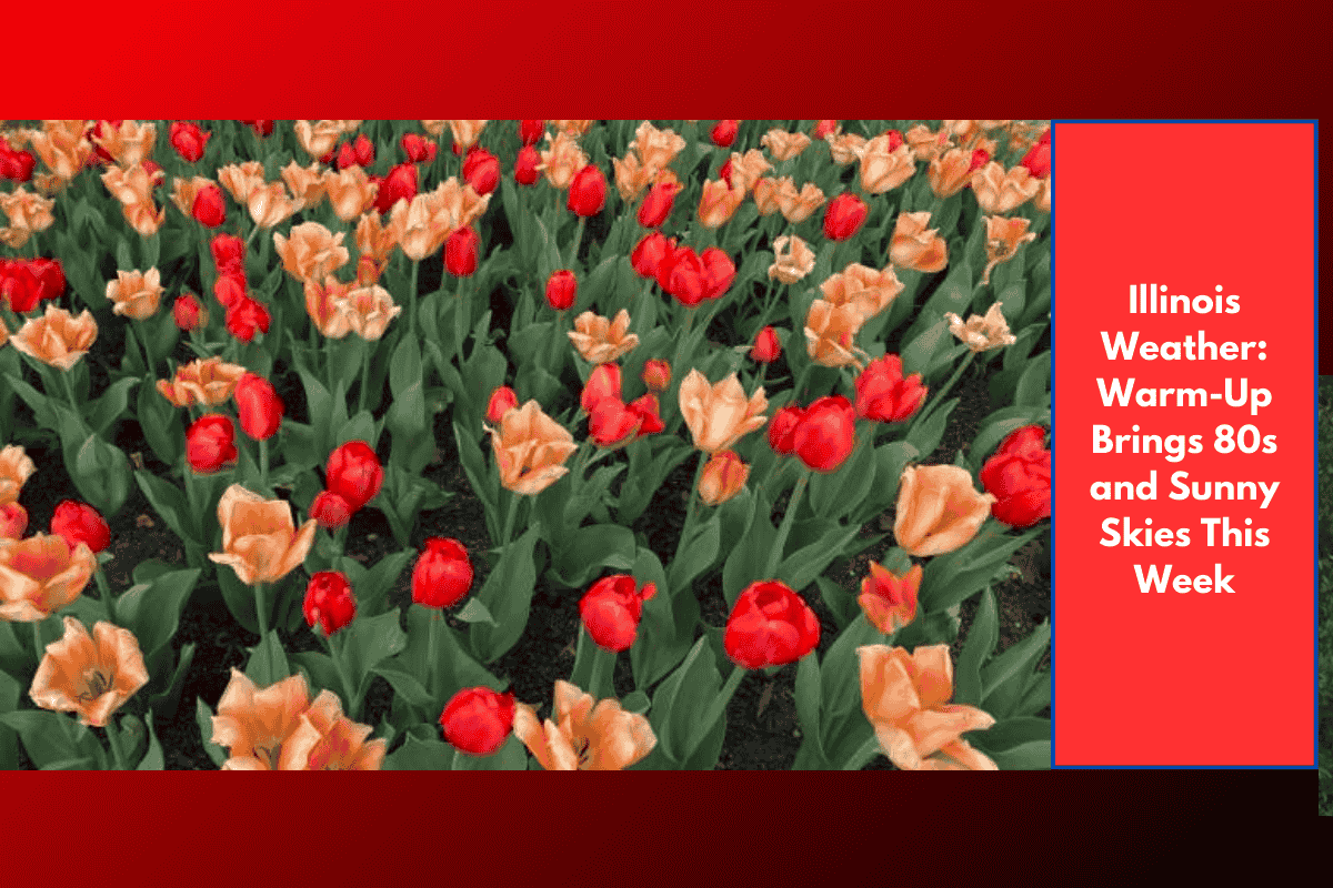 Illinois Weather WarmUp Brings 80s and Sunny Skies This Week