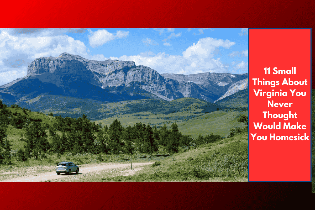 11 Small Things About Virginia You Never Thought Would Make You Homesick