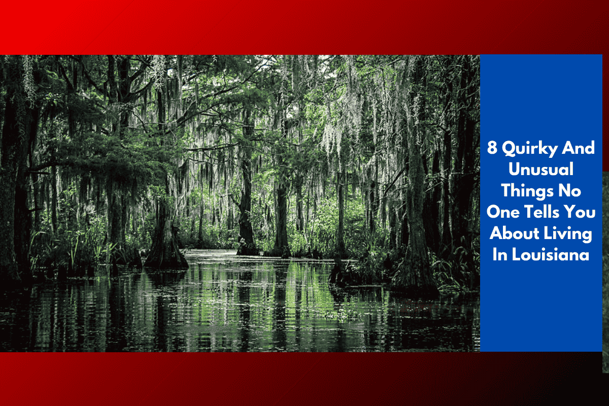 8 Quirky And Unusual Things No One Tells You About Living In Louisiana