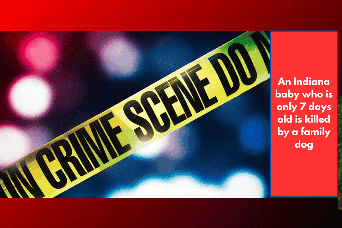 An Indiana baby who is only 7 days old is killed by a family dog