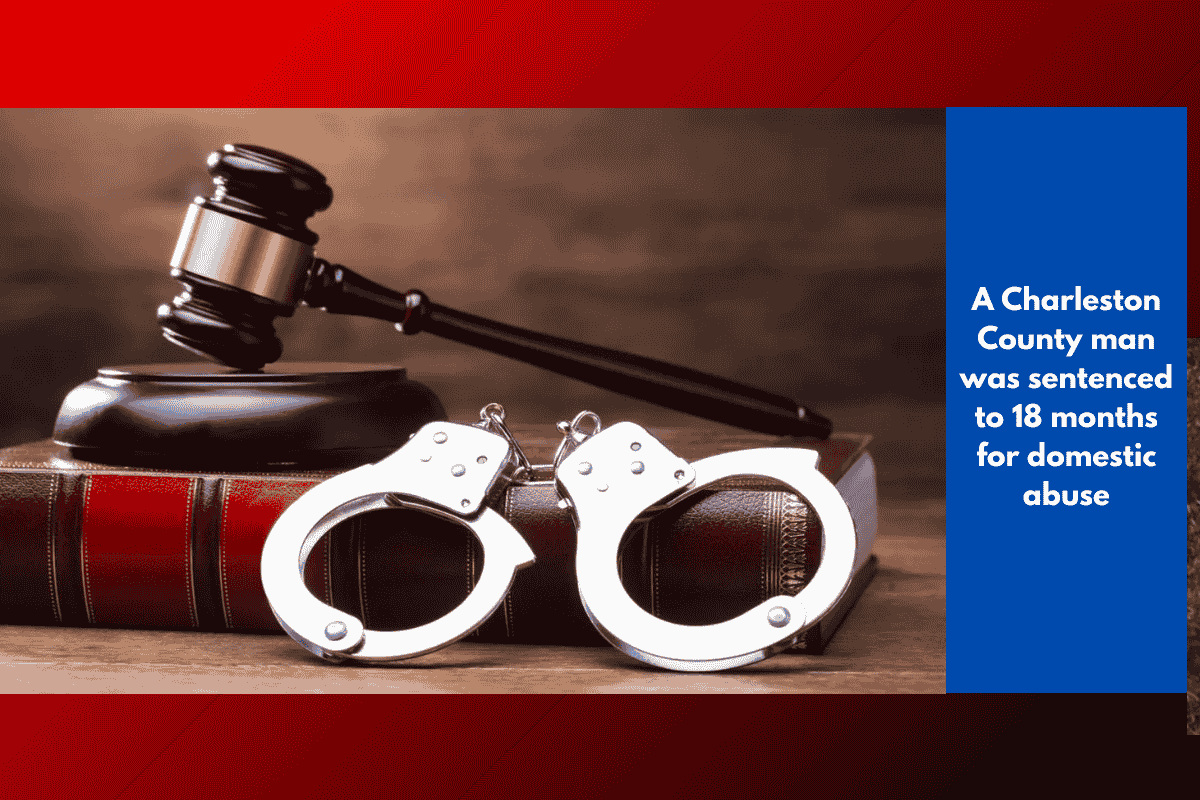 A Charleston County man was sentenced to 18 months for domestic abuse