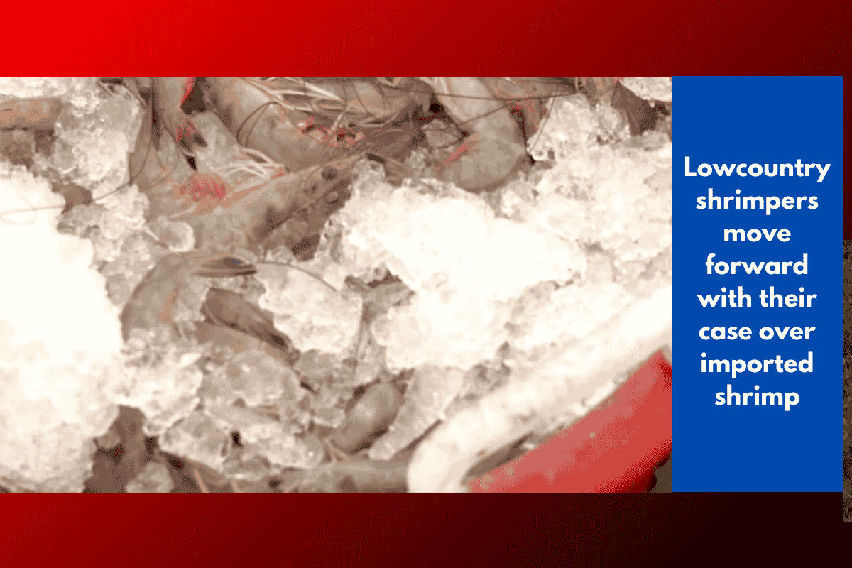 Lowcountry shrimpers move forward with their case over imported shrimp