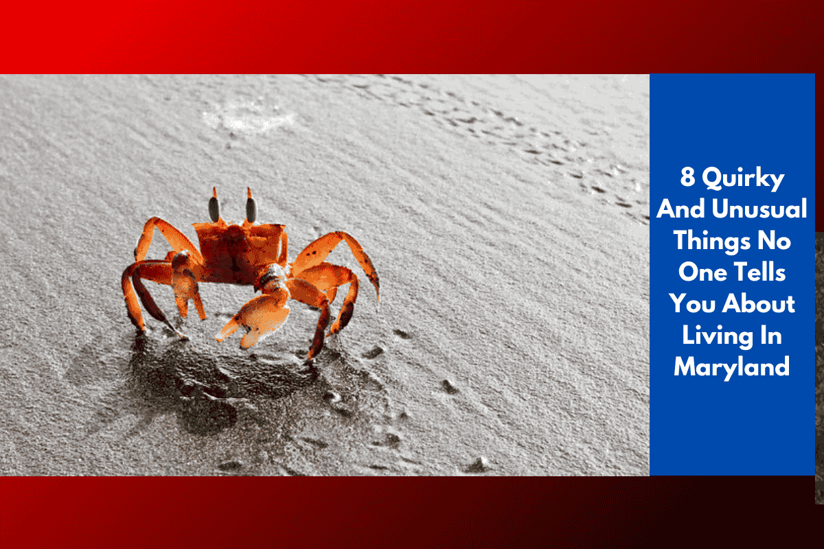 8 Quirky And Unusual Things No One Tells You About Living In Maryland