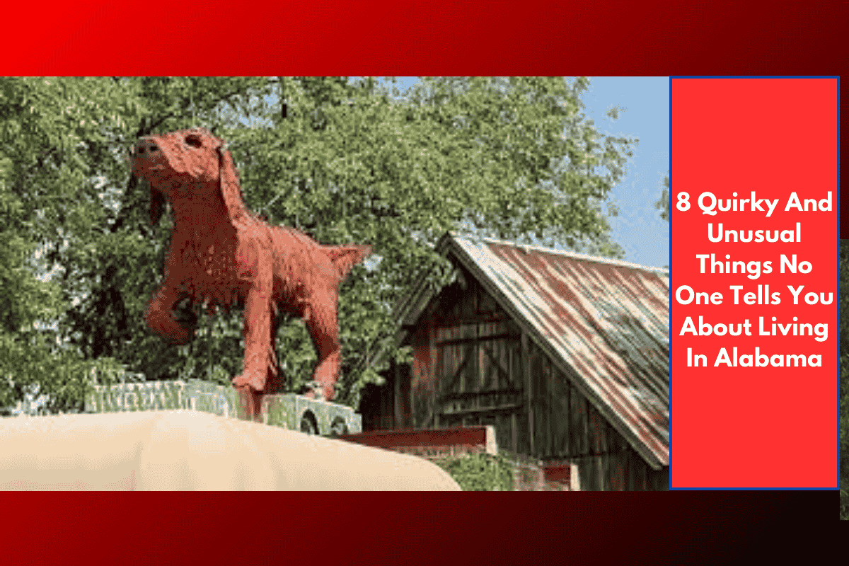 8 Quirky And Unusual Things No One Tells You About Living In Alabama