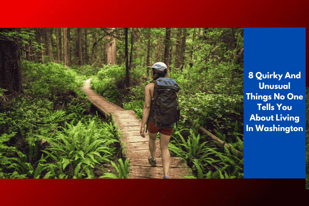 8 Quirky And Unusual Things No One Tells You About Living In Washington