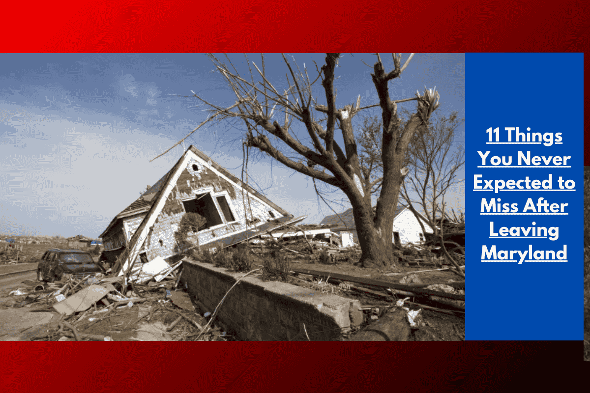 11 Things You Never Expected to Miss After Leaving Maryland