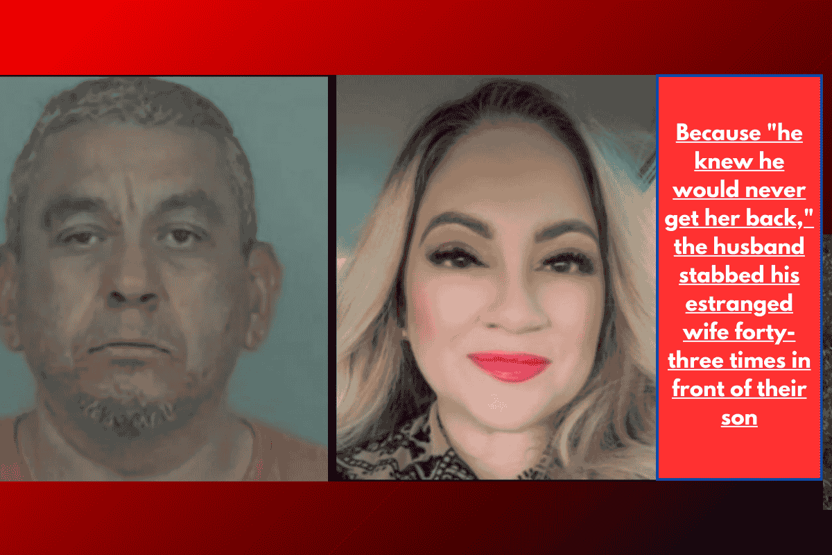 Because "he knew he would never get her back," the husband stabbed his estranged wife forty-three times in front of their son