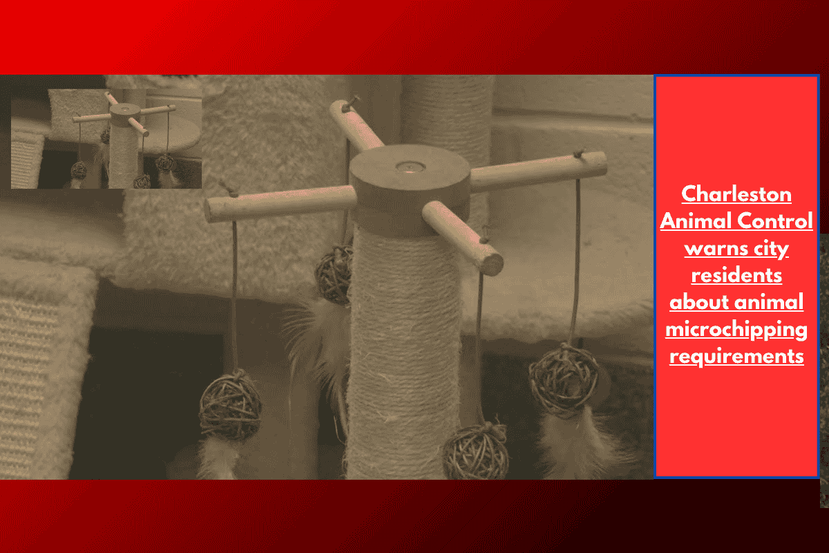 Charleston Animal Control warns city residents about animal microchipping requirements