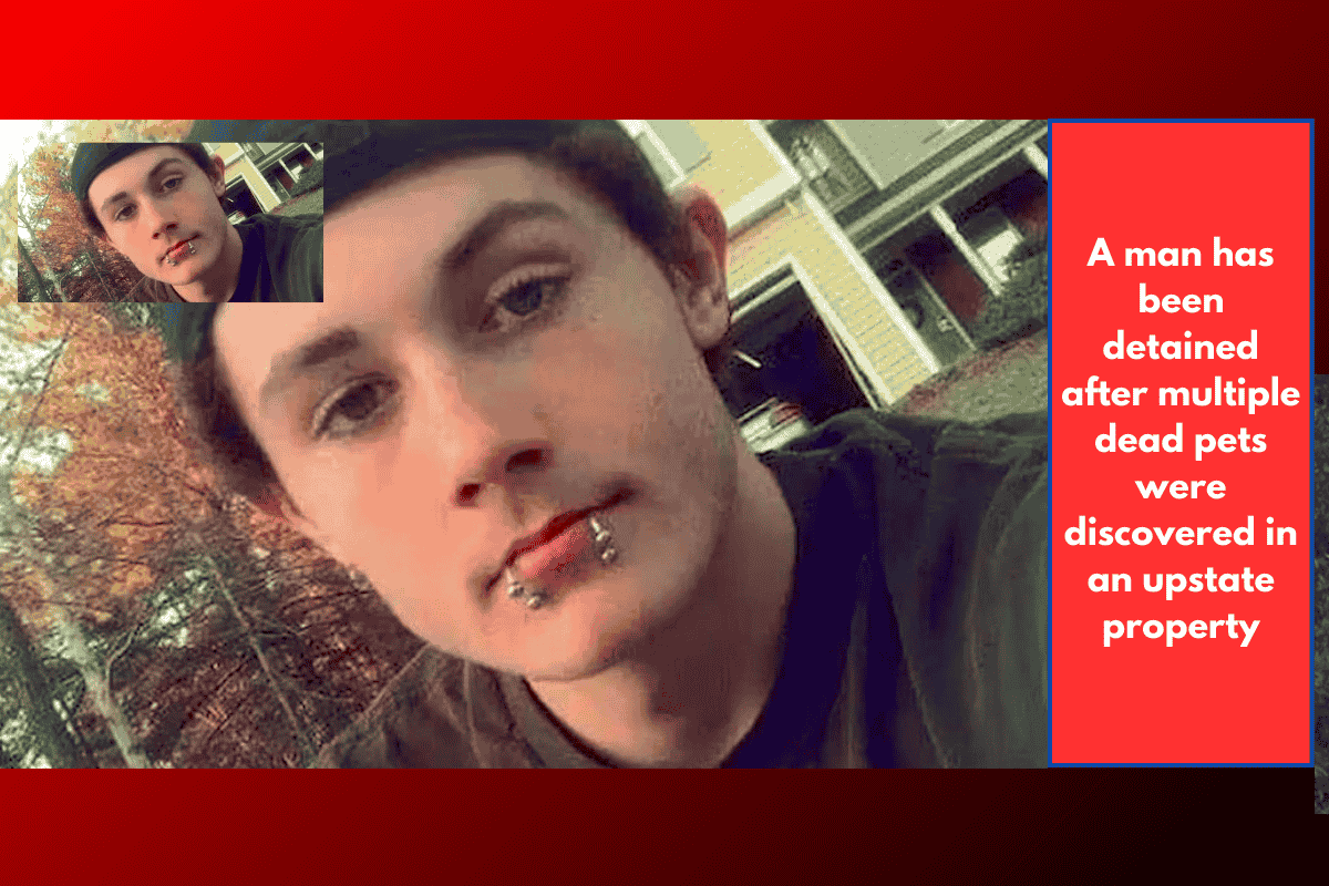 A man has been detained after multiple dead pets were discovered in an upstate property