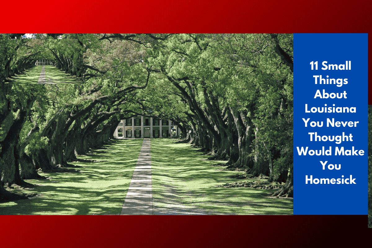 11 Small Things About Louisiana You Never Thought Would Make You Homesick