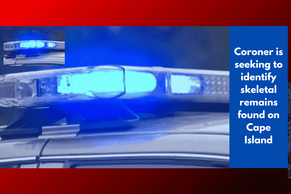 Coroner is seeking to identify skeletal remains found on Cape Island