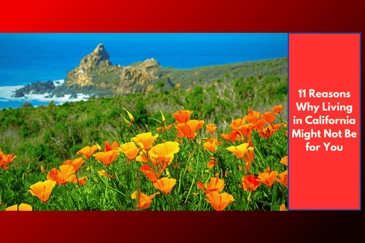 11 Reasons Why Living in California Might Not Be for You