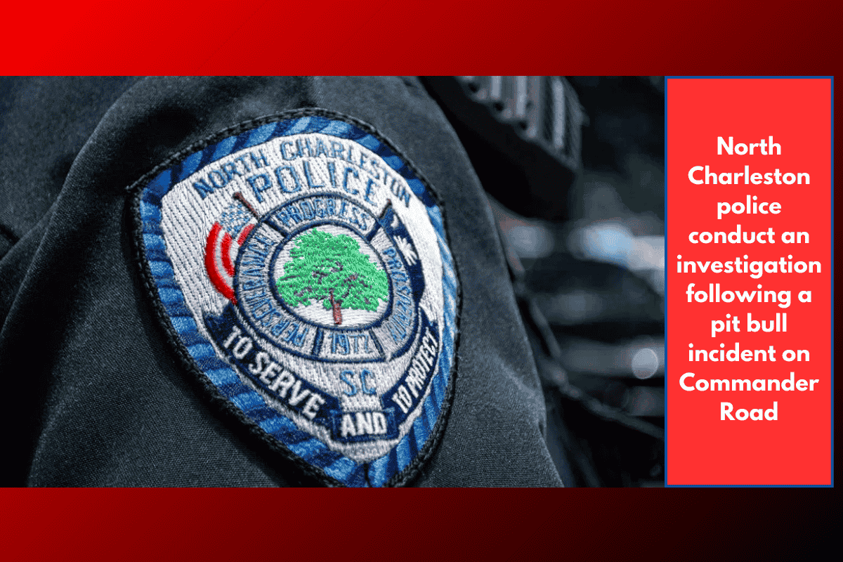 North Charleston police conduct an investigation following a pit bull incident on Commander Road