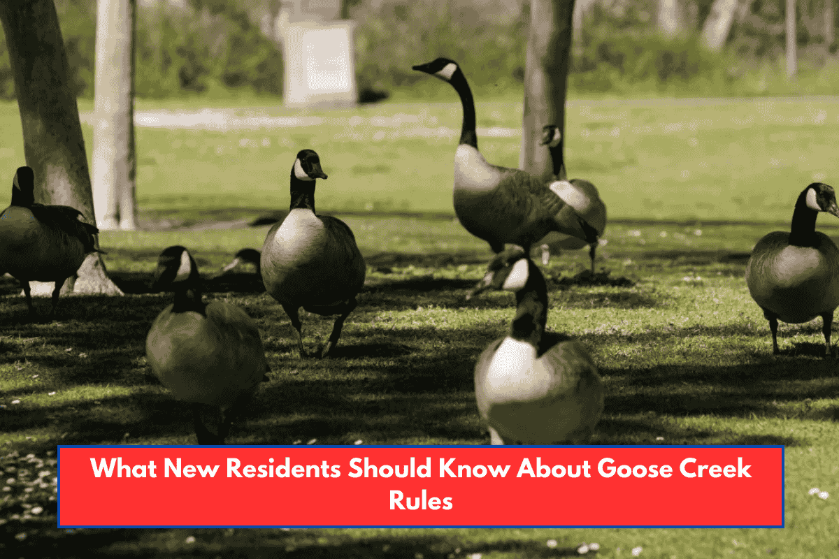 What New Residents Should Know About Goose Creek Rules
