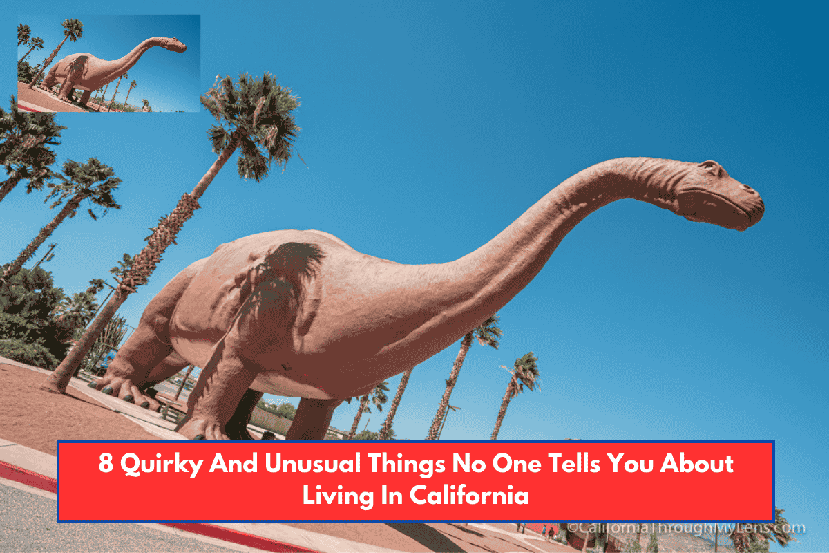 8 Quirky And Unusual Things No One Tells You About Living In California