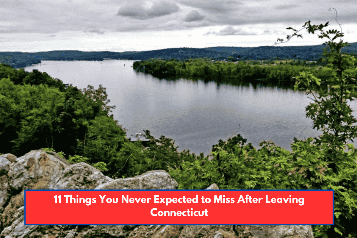 11 Things You Never Expected to Miss After Leaving Connecticut