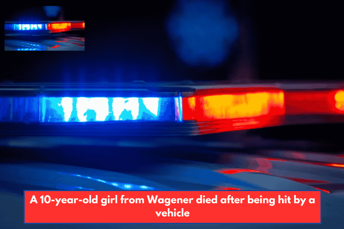 A 10-year-old girl from Wagener died after being hit by a vehicle
