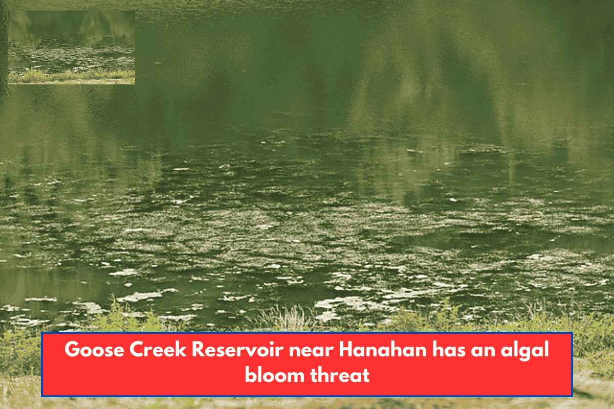Goose Creek Reservoir near Hanahan has an algal bloom threat