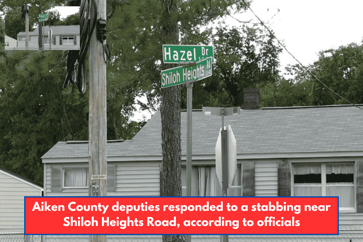 Aiken County deputies responded to a stabbing near Shiloh Heights Road, according to officials