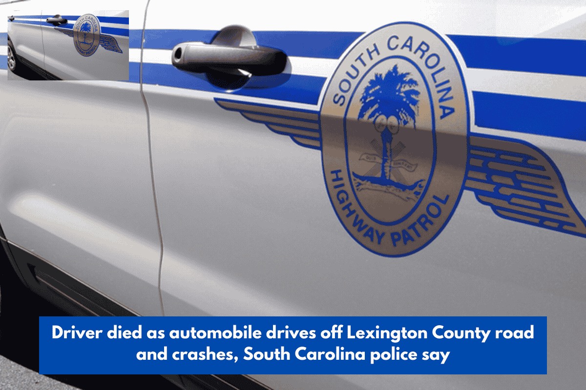 Driver died as automobile drives off Lexington County road and crashes, South Carolina police say
