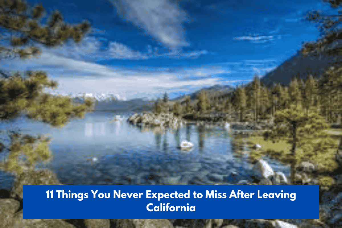 11 Things You Never Expected to Miss After Leaving California
