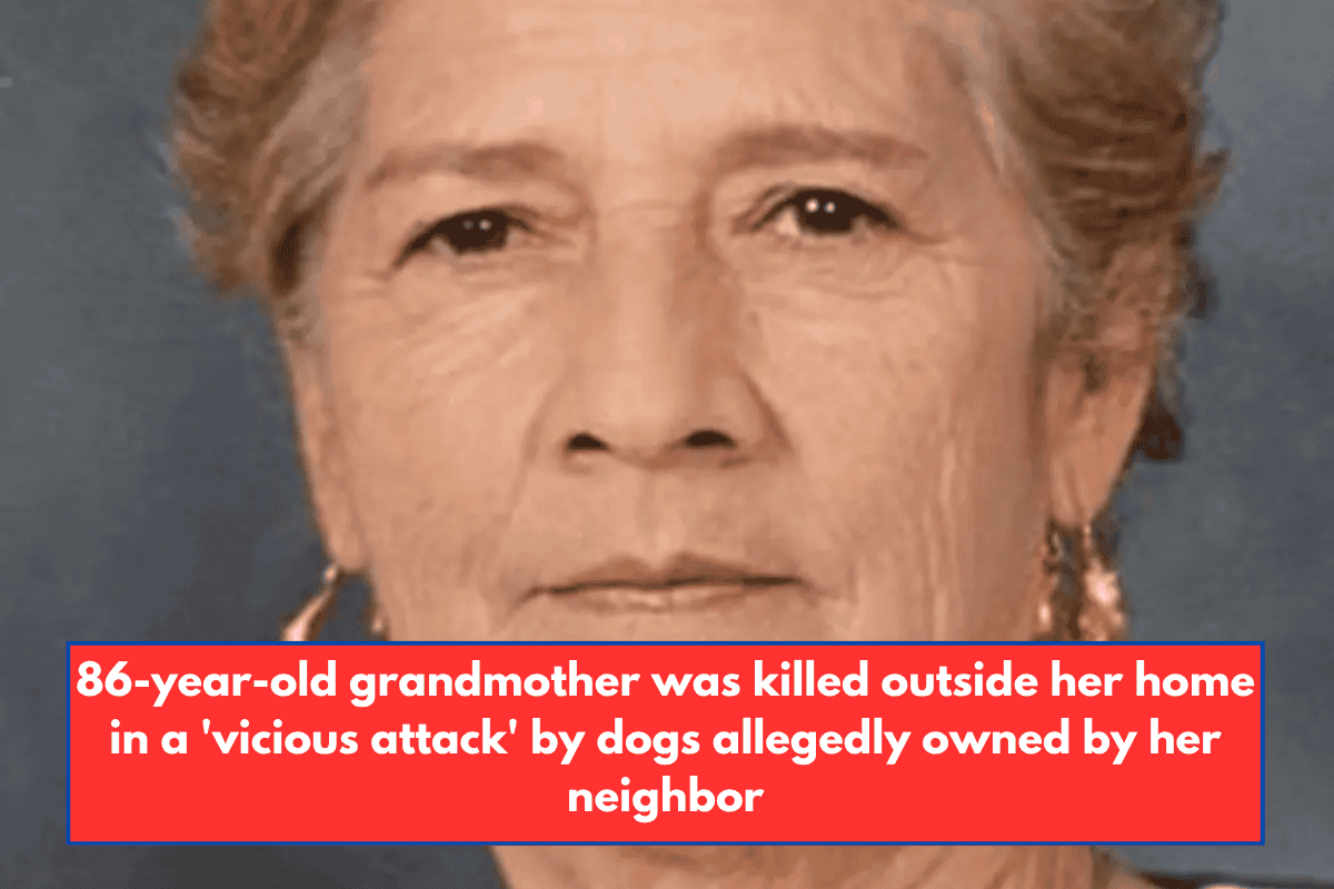 86-year-old grandmother was killed outside her home in a 'vicious attack' by dogs allegedly owned by her neighbor