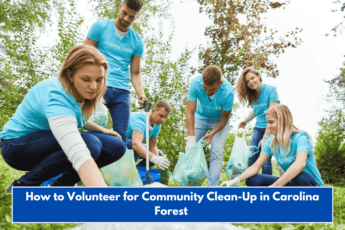 How to Volunteer for Community Clean-Up in Carolina Forest