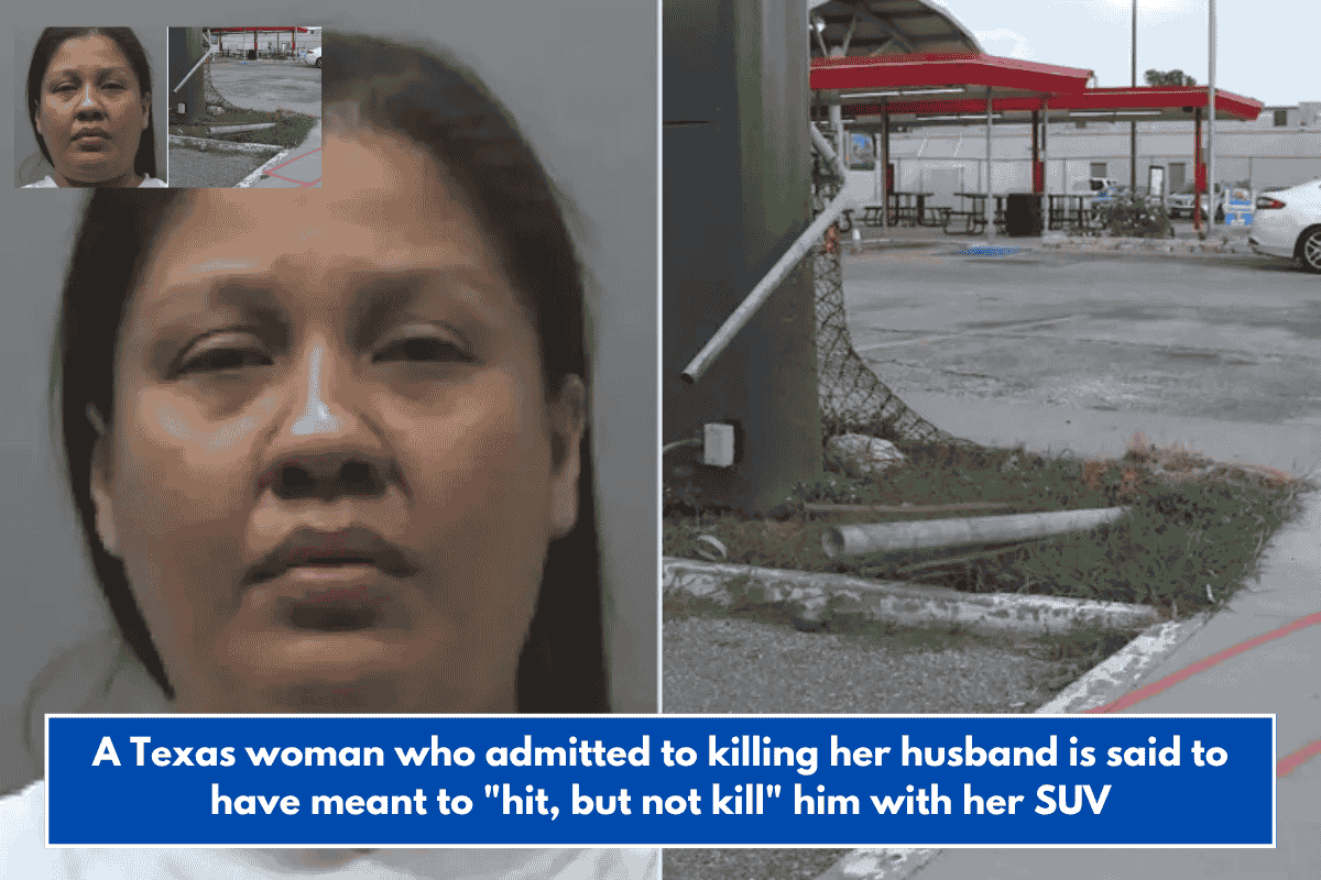 A Texas woman who admitted to killing her husband is said to have meant to "hit, but not kill" him with her SUV