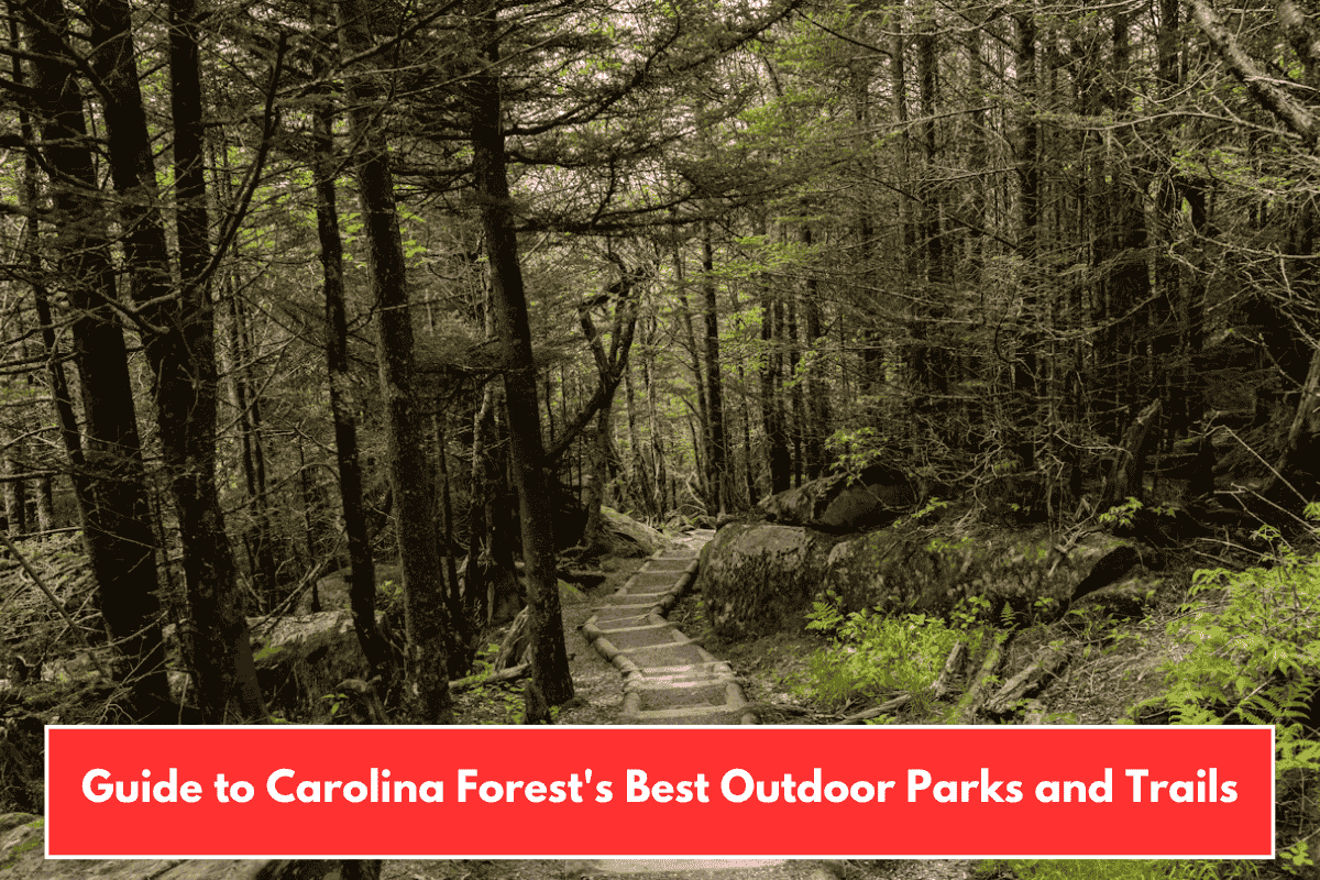 Guide to Carolina Forest's Best Outdoor Parks and Trails