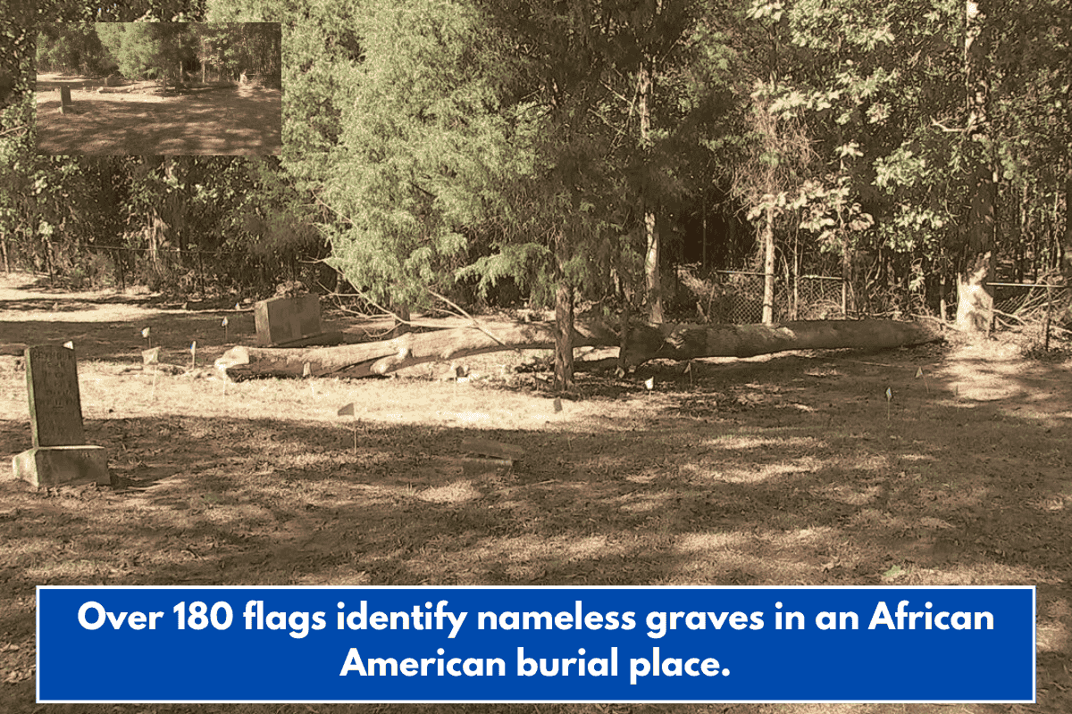 Over 180 flags identify nameless graves in an African American burial place.