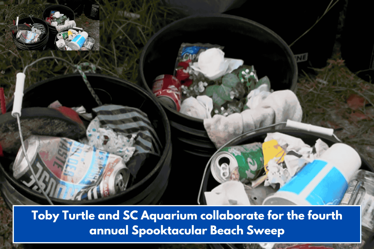 Toby Turtle and SC Aquarium collaborate for the fourth annual Spooktacular Beach Sweep