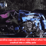 South Carolina cops say a driver was killed when his vehicle crashed into a utility pole