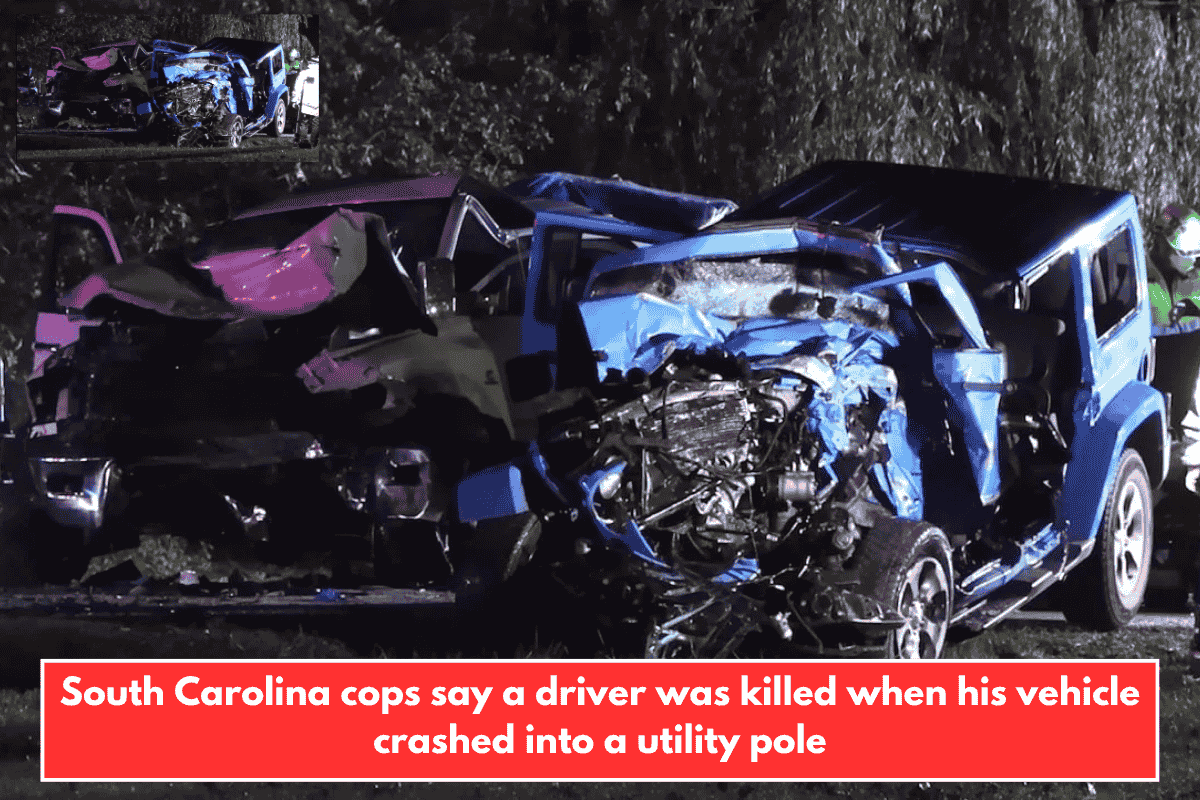 South Carolina cops say a driver was killed when his vehicle crashed into a utility pole