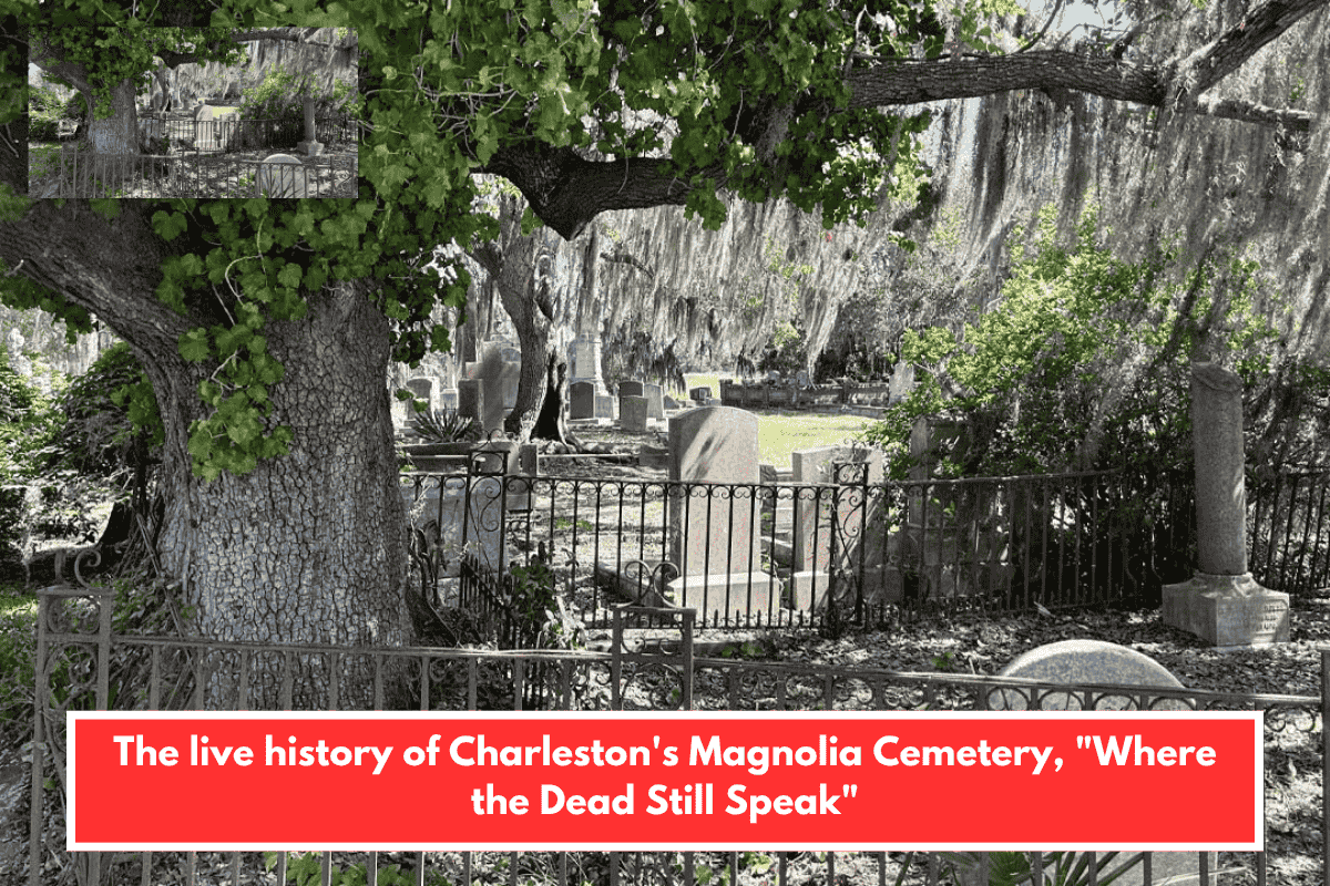 The live history of Charleston's Magnolia Cemetery, "Where the Dead Still Speak"