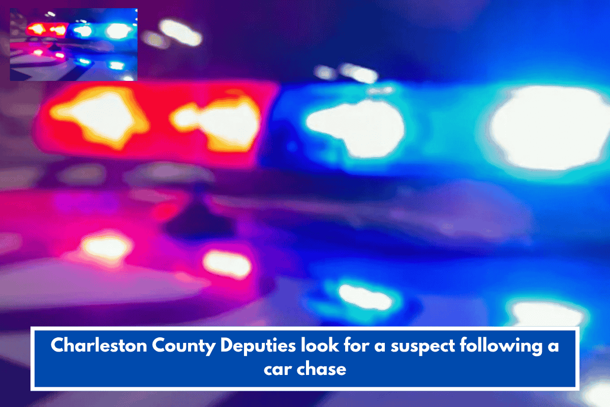 Charleston County Deputies look for a suspect following a car chase