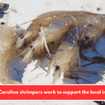 South Carolina shrimpers work to support the local industry
