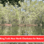 Best Hiking Trails Near North Charleston for Nature Lovers